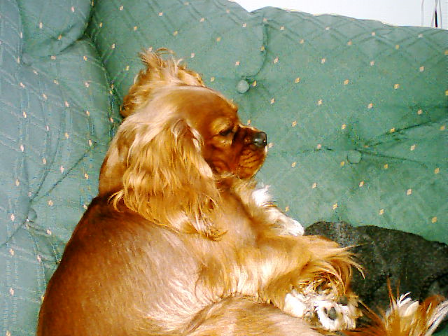 Bild 29.jpg